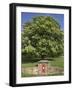 GR Royal Mail Rural Letter Box-Richard Klune-Framed Photographic Print