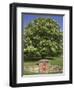 GR Royal Mail Rural Letter Box-Richard Klune-Framed Photographic Print