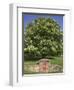 GR Royal Mail Rural Letter Box-Richard Klune-Framed Photographic Print