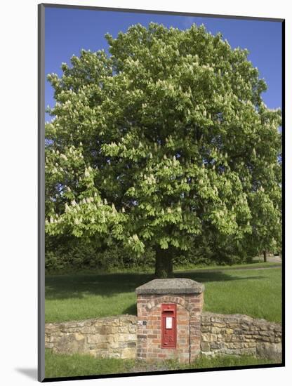 GR Royal Mail Rural Letter Box-Richard Klune-Mounted Photographic Print
