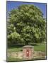 GR Royal Mail Rural Letter Box-Richard Klune-Mounted Photographic Print