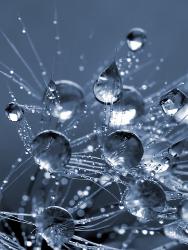 affordable water drops photography