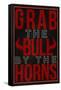 Grab the Bull By the Horns-null-Framed Stretched Canvas