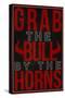 Grab the Bull By the Horns-null-Stretched Canvas