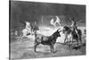 Grabado. Serie "Tauromaquia" Plancha 27, El Célebre Fernando del Toro-Francisco de Goya-Stretched Canvas