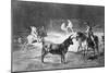 Grabado. Serie "Tauromaquia" Plancha 27, El Célebre Fernando del Toro-Francisco de Goya-Mounted Giclee Print