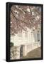 Essential Black