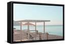 Framed Canvas