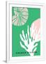 Gramercy White