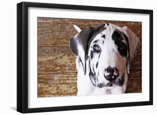 Grace II-Leesa White-Framed Photographic Print