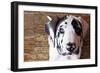 Grace II-Leesa White-Framed Photographic Print