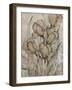 Grace II-Tim O'toole-Framed Art Print