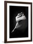 Grace in Motion-null-Framed Premium Giclee Print