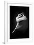 Grace in Motion-null-Framed Premium Giclee Print