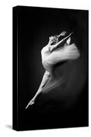 Grace in Motion-null-Stretched Canvas