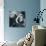 Grace Kelly II-British Pathe-Giclee Print displayed on a wall