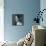 Grace Kelly III-British Pathe-Mounted Giclee Print displayed on a wall