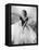 Grace Kelly, Rear Window, 1954-null-Framed Stretched Canvas