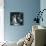 Grace Kelly VI-British Pathe-Giclee Print displayed on a wall