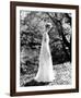 Grace Kelly-null-Framed Photo