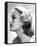 Grace Kelly-null-Framed Stretched Canvas