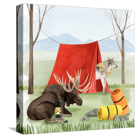 Stretched Canvas Print, , large