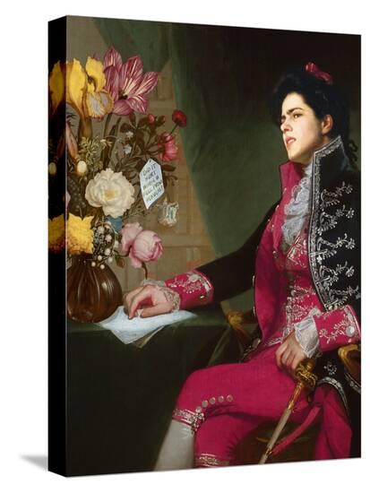 Stretched Canvas Print, , large