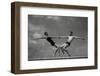 Grace&Strenght 2.0-Antonio Arcos aka-Framed Photographic Print