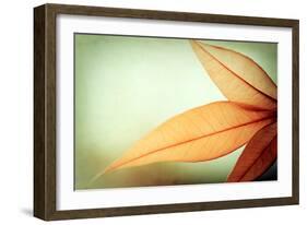 Grace-Carolyn Cochrane-Framed Photographic Print