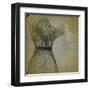 Graceful Ballet Tutu II-Jean-François Dupuis-Framed Art Print