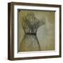 Graceful Ballet Tutu II-Jean-François Dupuis-Framed Art Print