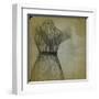 Graceful Ballet Tutu II-Jean-François Dupuis-Framed Art Print