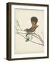 Graceful Birds II-Vision Studio-Framed Art Print