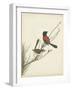 Graceful Birds III-Vision Studio-Framed Art Print