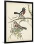 Graceful Birds IV-Vision Studio-Framed Art Print