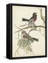 Graceful Birds IV-Vision Studio-Framed Stretched Canvas