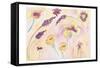 Graceful Blossoms-Beverly Dyer-Framed Stretched Canvas