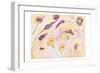 Graceful Blossoms-Beverly Dyer-Framed Art Print