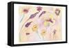 Graceful Blossoms-Beverly Dyer-Framed Stretched Canvas