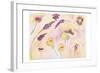 Graceful Blossoms-Beverly Dyer-Framed Art Print