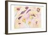 Graceful Blossoms-Beverly Dyer-Framed Art Print