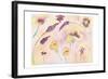 Graceful Blossoms-Beverly Dyer-Framed Art Print