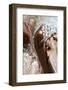 Graceful Flow-Petra Meikle de Vlas-Framed Photographic Print