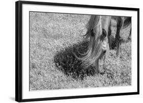 Graceful Grazing-Andrew Geiger-Framed Giclee Print