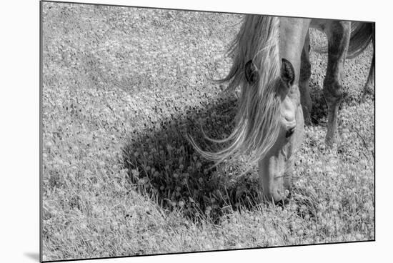 Graceful Grazing-Andrew Geiger-Mounted Giclee Print