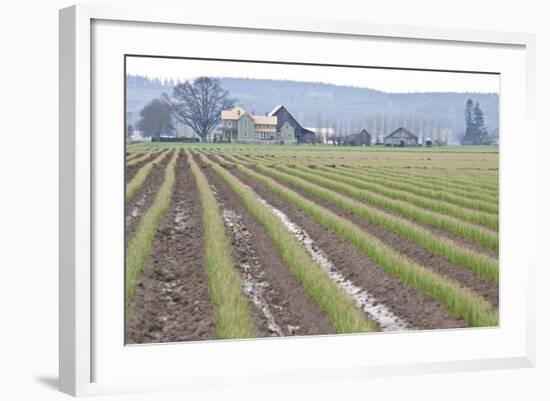 Graceful Greens I-Dana Styber-Framed Photographic Print