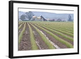 Graceful Greens I-Dana Styber-Framed Photographic Print