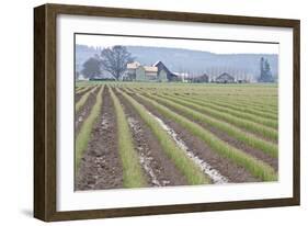 Graceful Greens I-Dana Styber-Framed Photographic Print