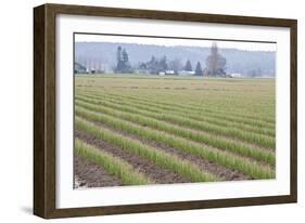 Graceful Greens II-Dana Styber-Framed Photographic Print