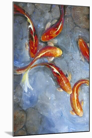 Graceful Koi II-Tim O'toole-Mounted Art Print